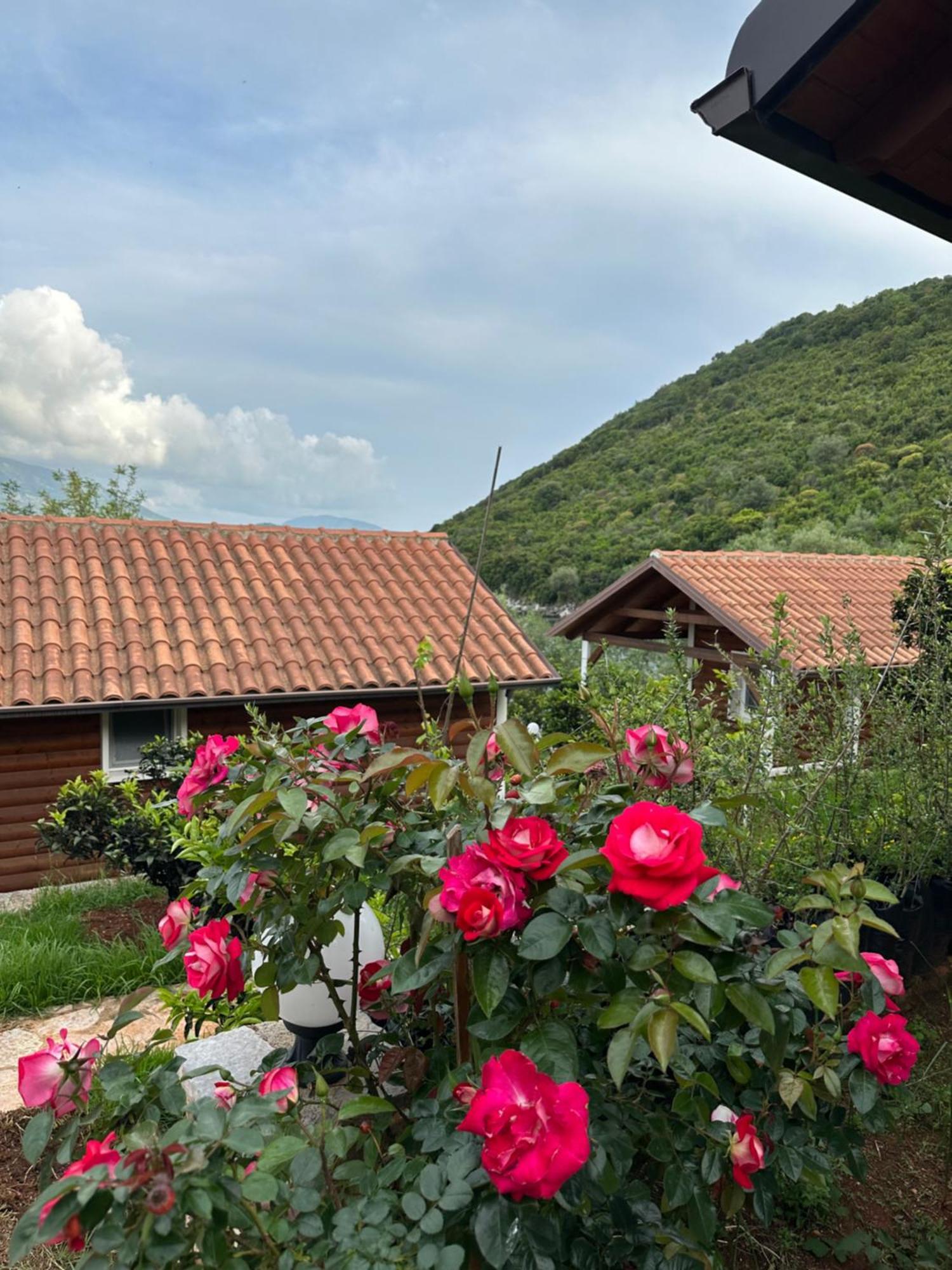 The Mussel House Holiday home Ksamil